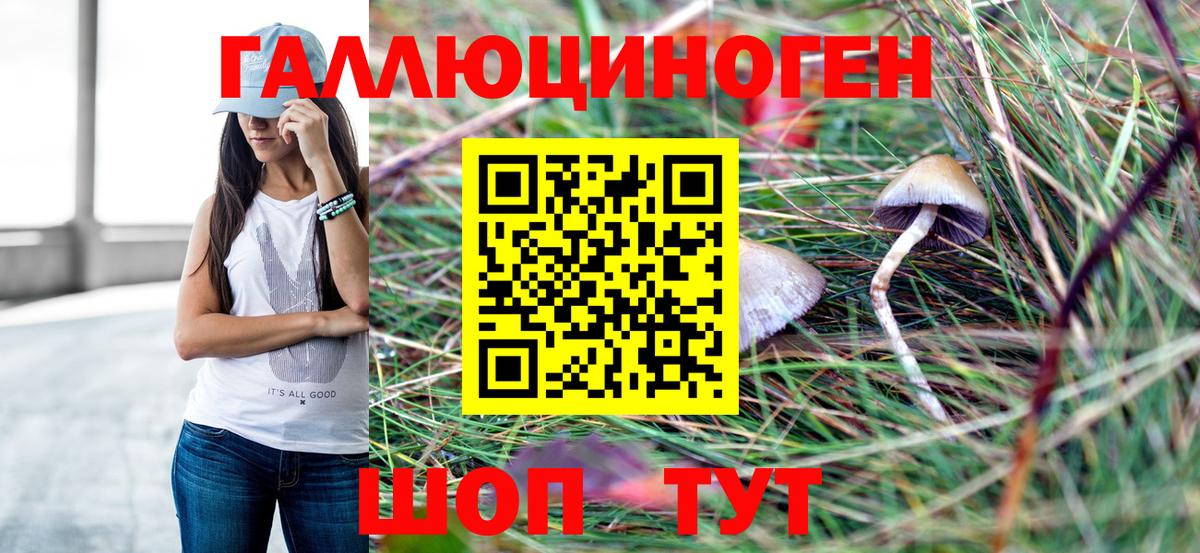 Сосновоборск  Галлюциногенные грибы мухоморы  Вход с VPN 