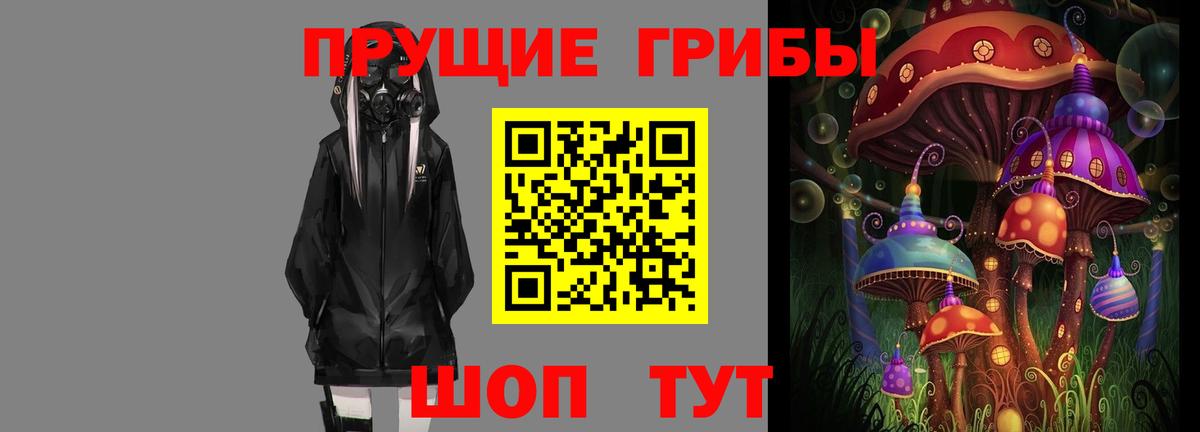 Псилоцибиновые грибы мицелий Сосновоборск